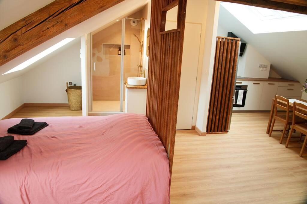 Appartement De Charme A 南锡 外观 照片