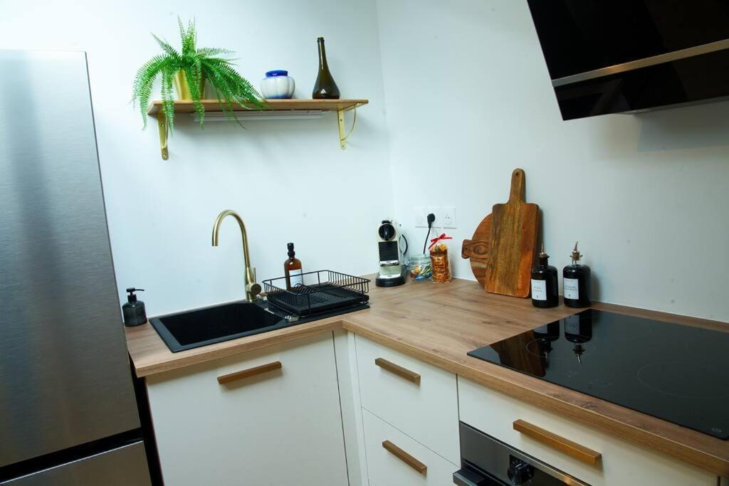 Appartement De Charme A 南锡 外观 照片