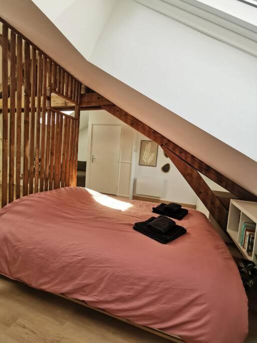 Appartement De Charme A 南锡 外观 照片